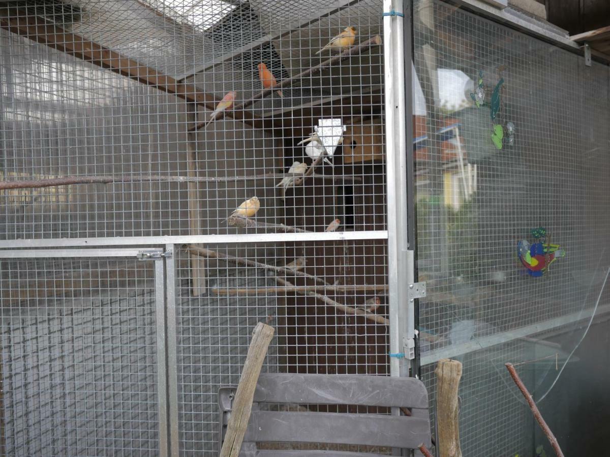Zimmervermietung Am Teutoburger Wald Lage  Exteriör bild